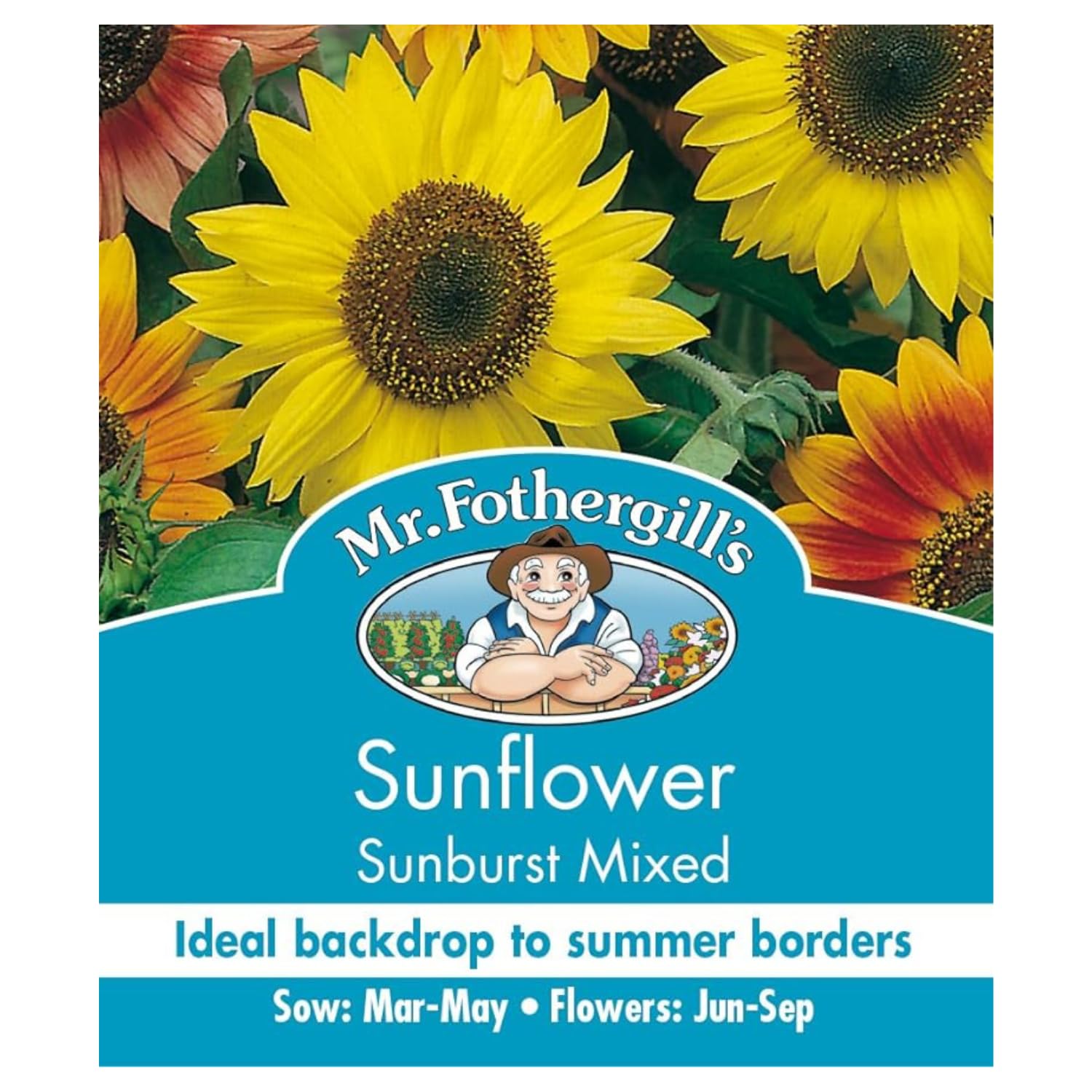 Mr. Fothergill's 24961 Sunburst Sunflower Seeds, mixed : Amazon.co